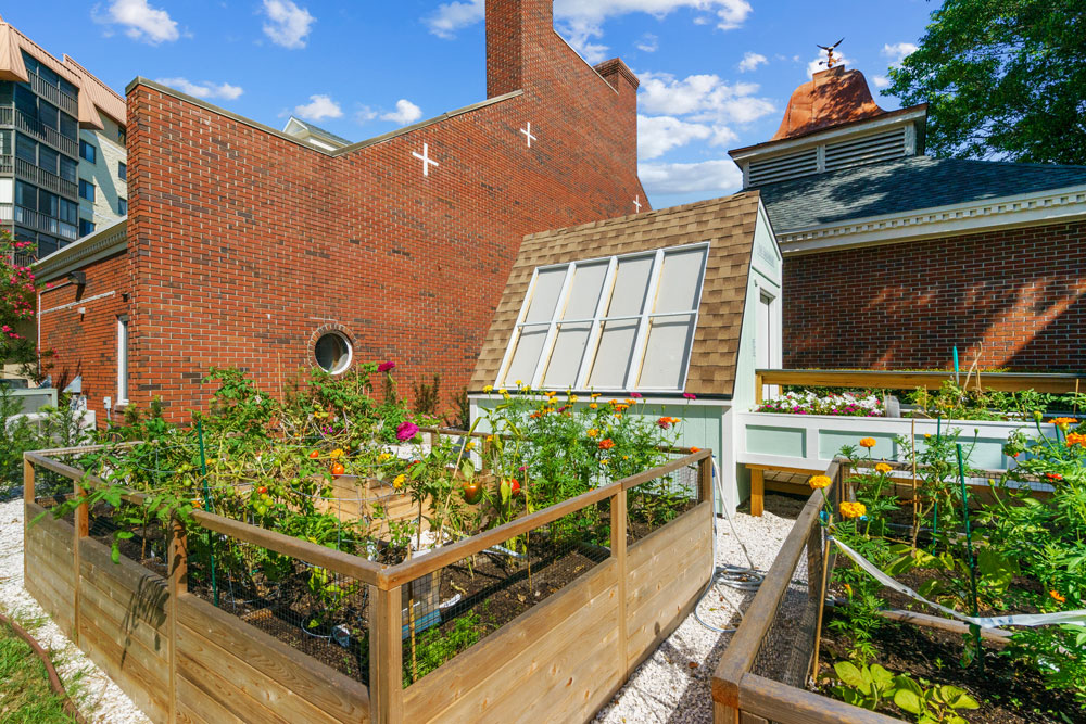 residential garden and green house