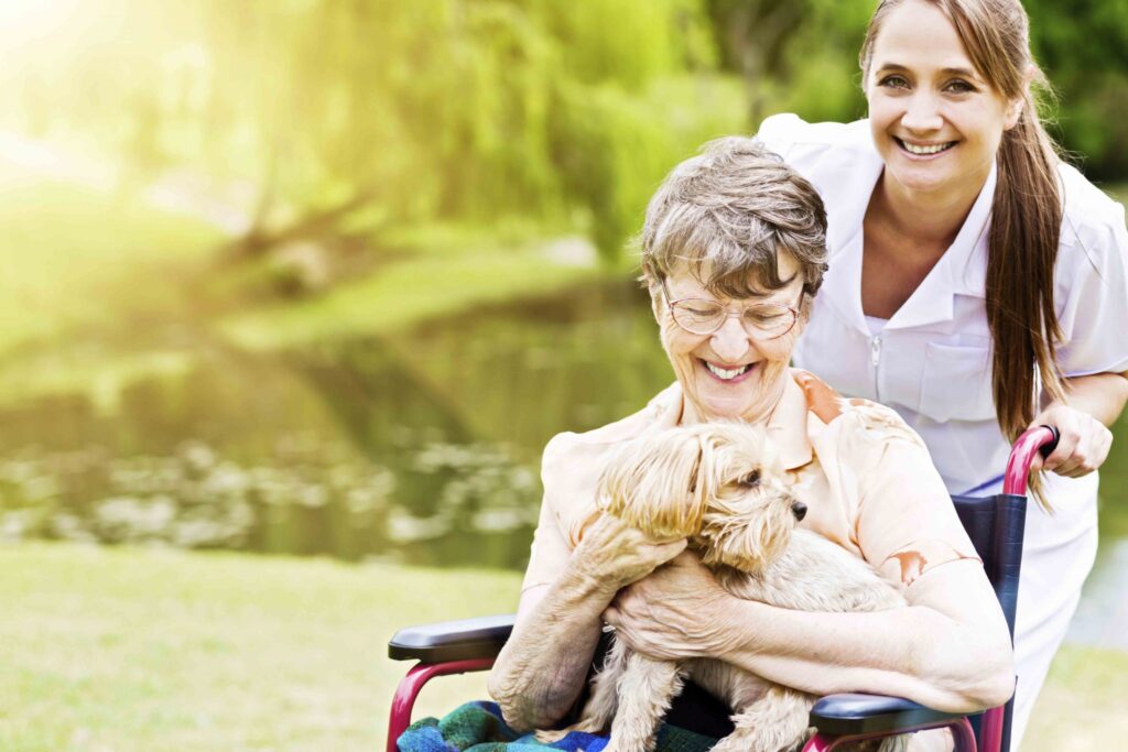 senior lady with her small dog sitting in a wheelchair smiling with a healthcare worker